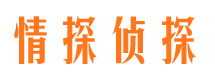 卢龙私家侦探公司